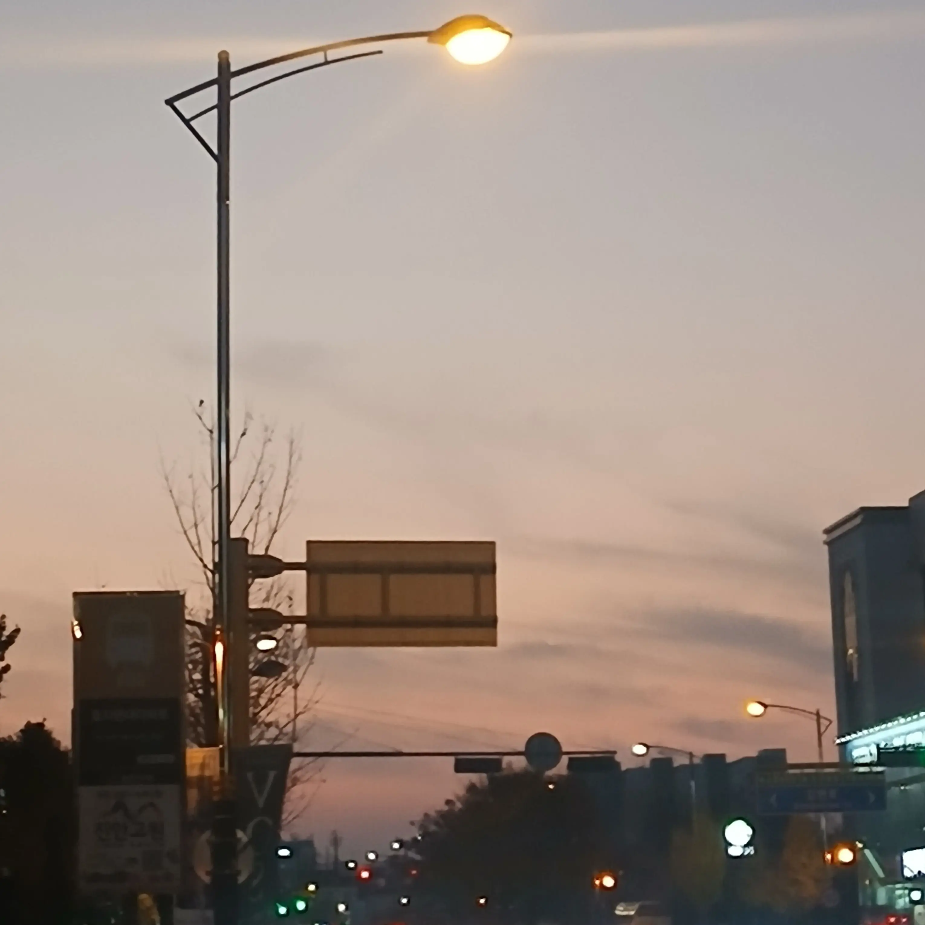 SimpleSlug1775의 도그데이즈