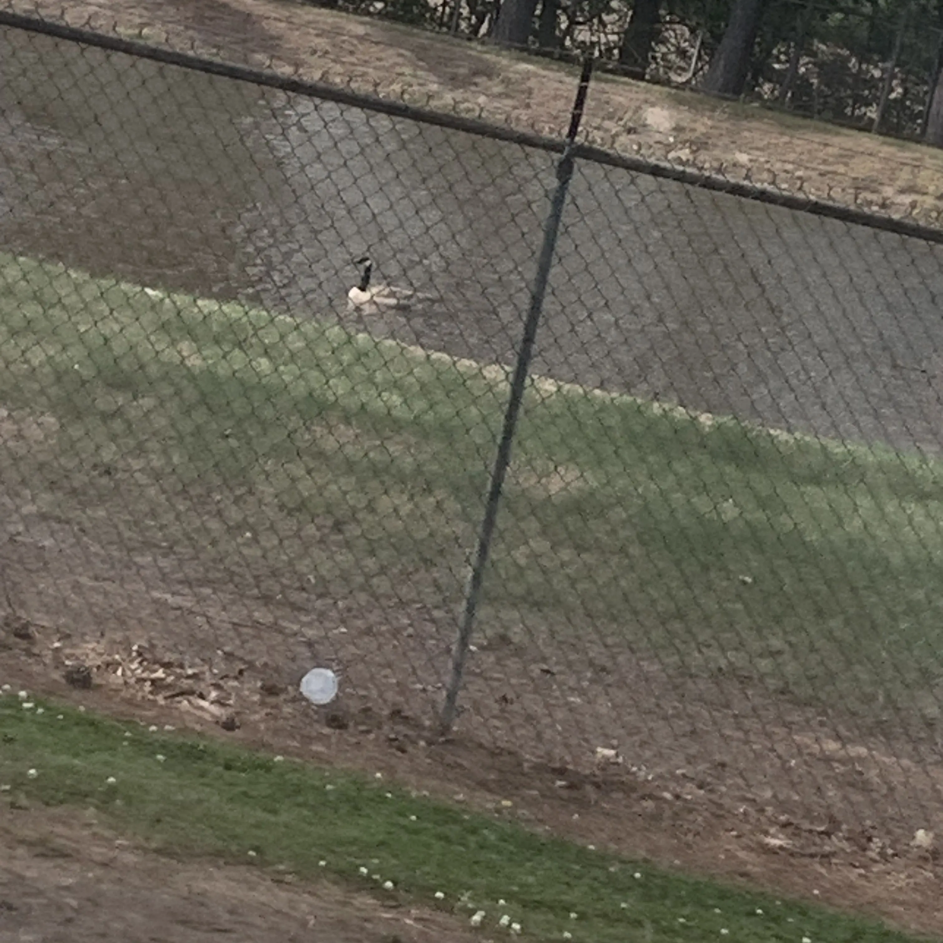 BiasedMop0115의 Alpha's Silent Oath