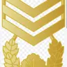 Profile image of Master Sergeant Lee Ha-jun