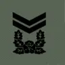 Profile image of SFC Kim Do-yoon
