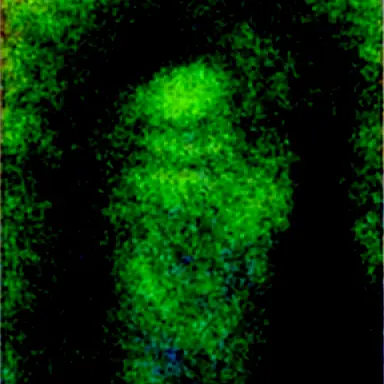 Profile image of Mr.A