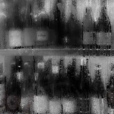 Profile image of 성서월