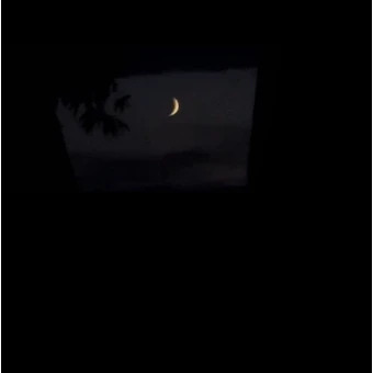 오겜2 타노스 팀