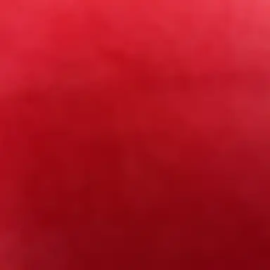 Profile image of 伊沢