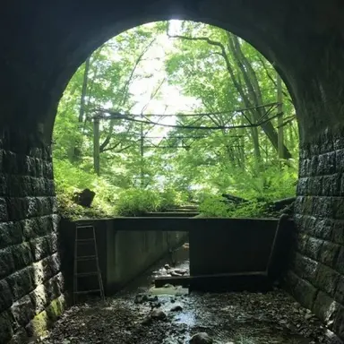 Profile image of 한재선