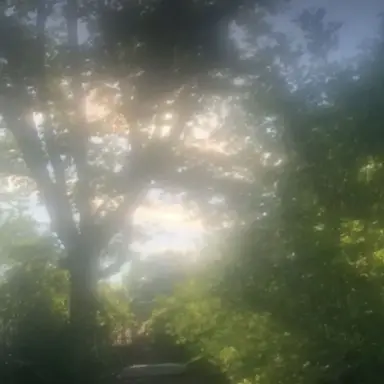 Profile image of もえ