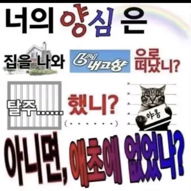 Profile image of 개발자 양반