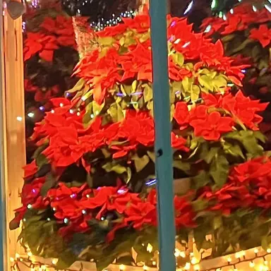 Profile image of シンロン