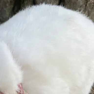 Profile image of サンウォン