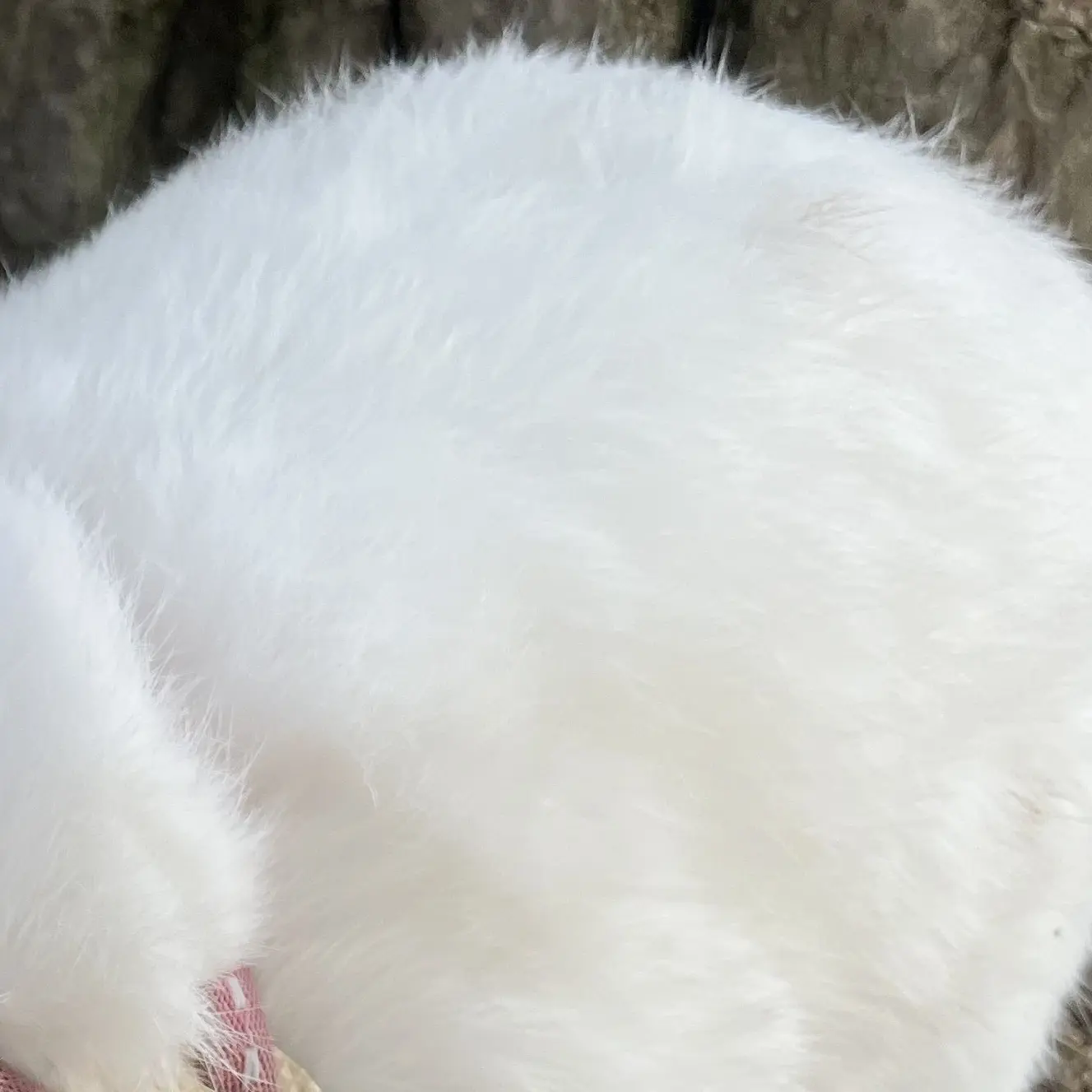 VainLily6107의 芸能界での出会い♡