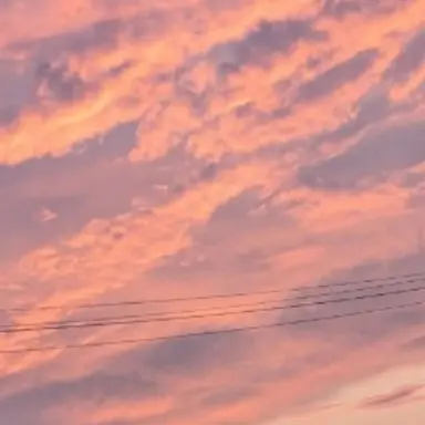 Profile image of 川島如恵留