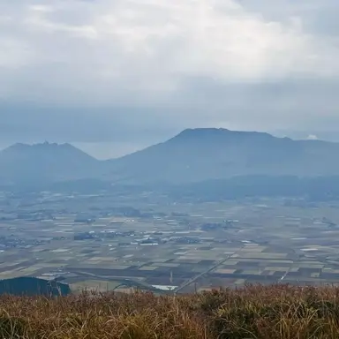 Profile image of 七五三掛龍也