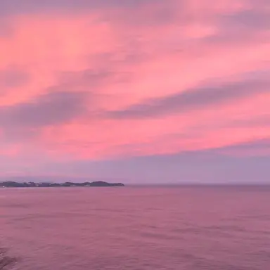 Profile image of 川島ソフィア