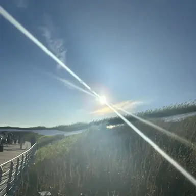 Profile image of 吉澤閑也