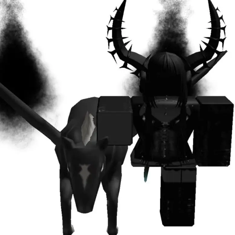 Shai의 Roblox gc