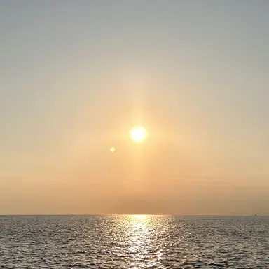 Profile image of シュンタ