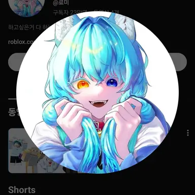 Profile image of 료미