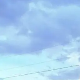 Profile image of 壮大
