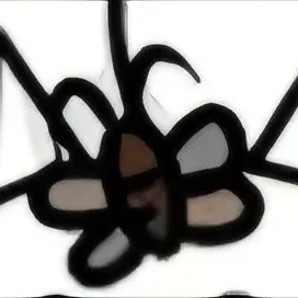 Profile image of 바선생