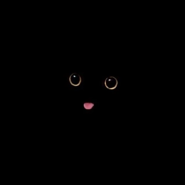 침대 밑 괴물