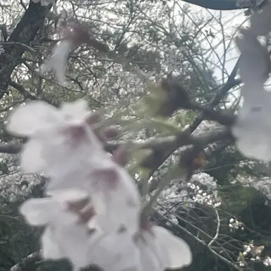 Profile image of ハイキュー