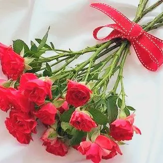 PoeticLady7805의 아무거나