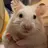 햄주원🐹