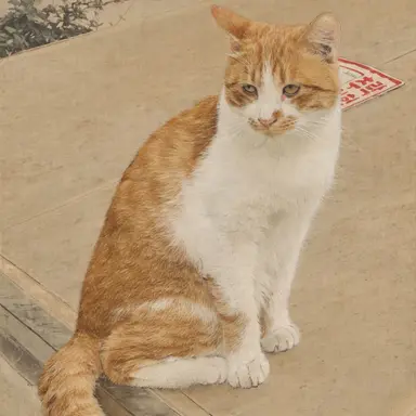 Profile image of 금덕이