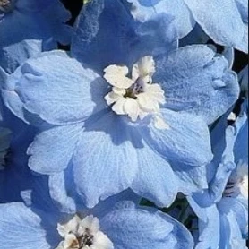 유지하