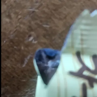 Profile image of 2학년