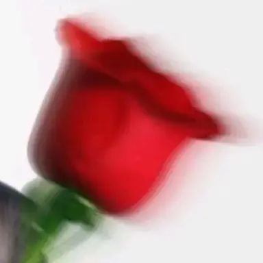 Profile image of 박지훈