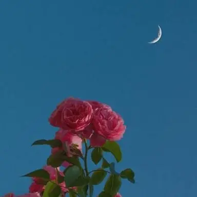 Profile image of 설윤아