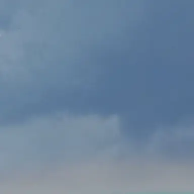 Profile image of 은민