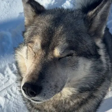 Profile image of 방찬