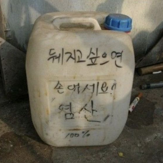 길들인개가말을안들으면때려야죠 대표 이미지