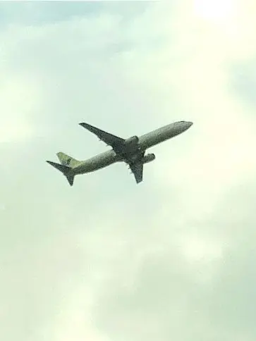 PettyDoor3802의 夏天的心-