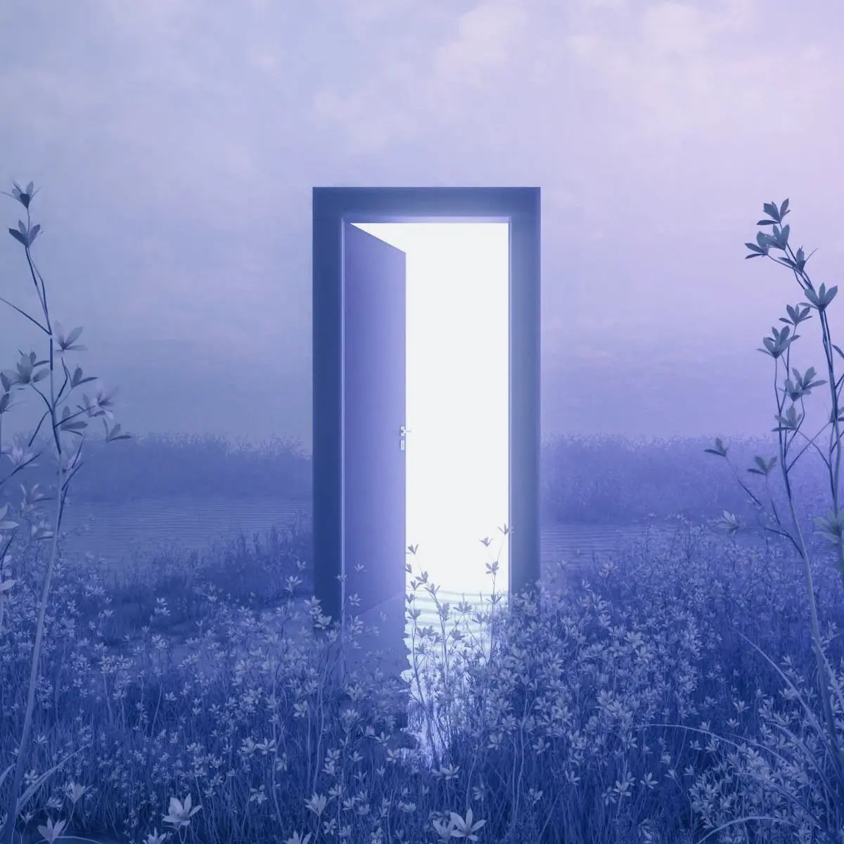 Hedone의 Dream within a Dream