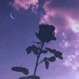 Profile image of 멜로우