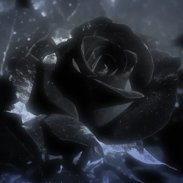 3SH9의 Jack