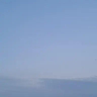 Profile image of 선생님