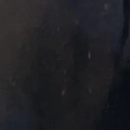 Profile image of Juli