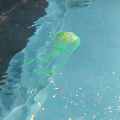 Profile image of 아이브