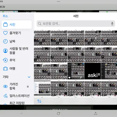 Profile image of 단이