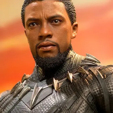 Profile image of TChalla