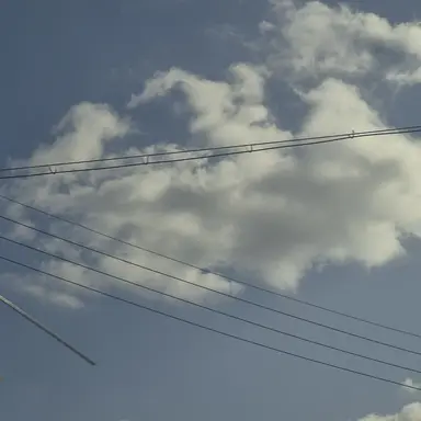 Profile image of 잭