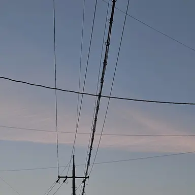 Profile image of 제미니