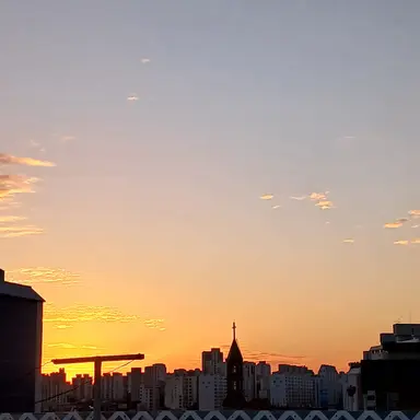 Profile image of 류