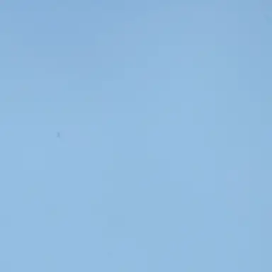 Profile image of 잠뜰