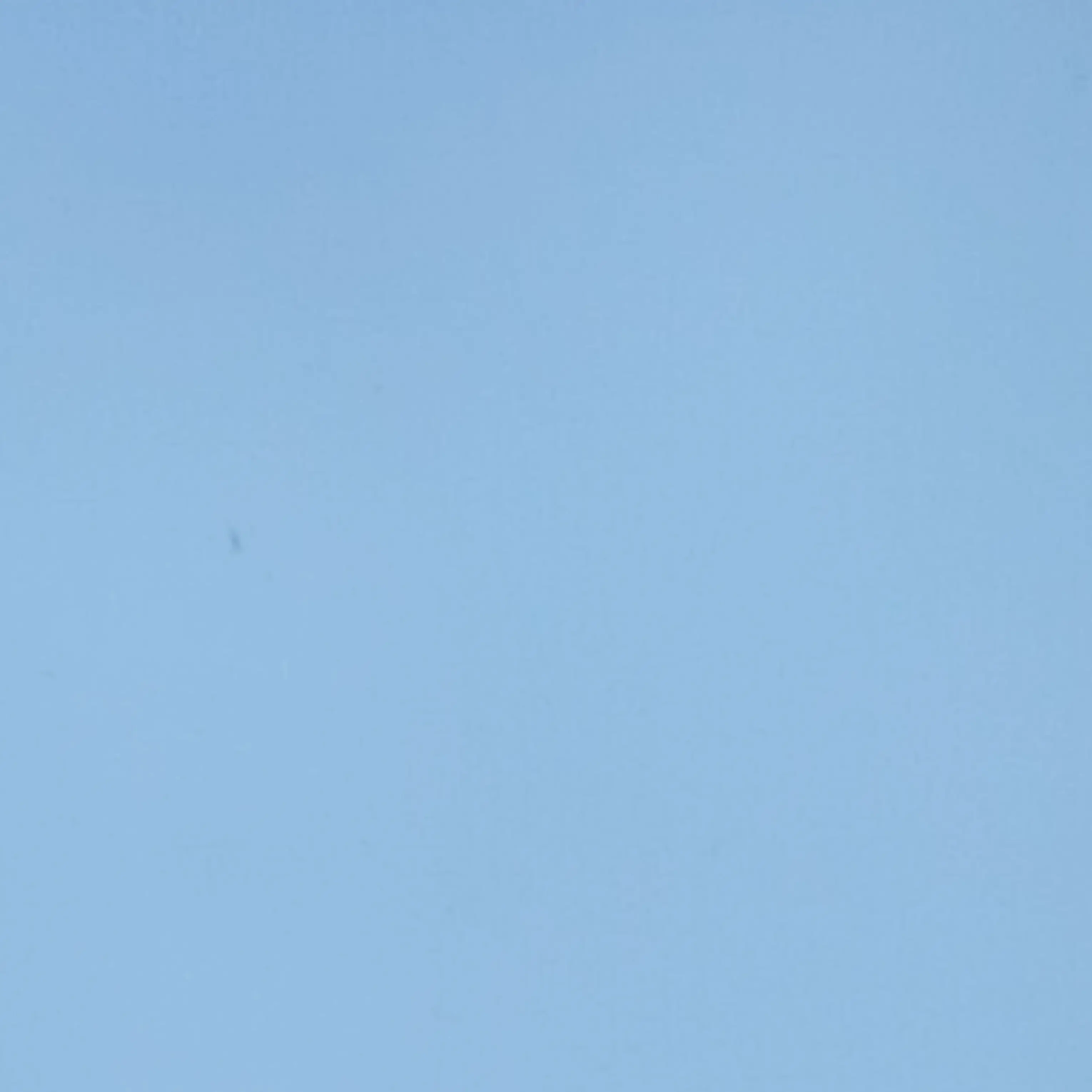 RegalSash9766의 차별하는가족