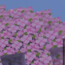 Profile image of 이리오